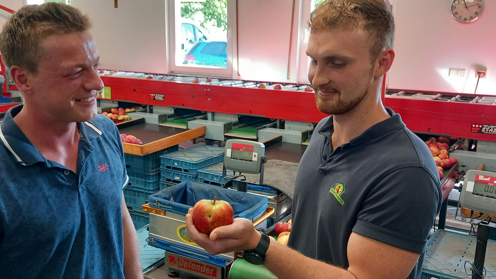Bürokratie: Den Apfel mit Hagelschaden dürfen Matthias (l.) und Marcel Cremerius nur als Most verkaufen.