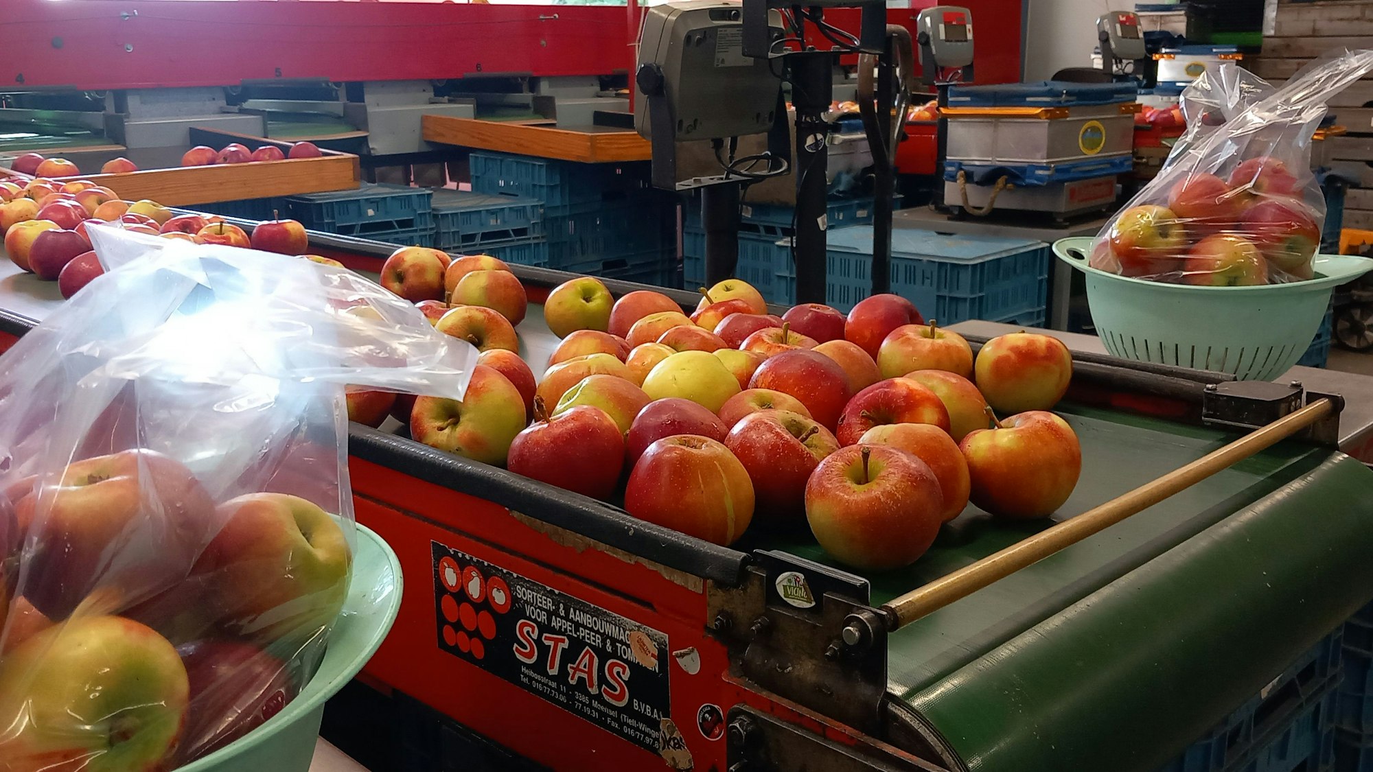 Baujahr 1991: Die Apfelsortieranlage ist so alt wie der Betriebsleiter auf dem Obsthof Cremerius in Meckenheim. Eine neue oder Pflückroboter lohnen sich einfach nicht.