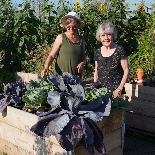 Zwei Frauen hinter einem Hochbeet mit üppig wachsendem Kohl.