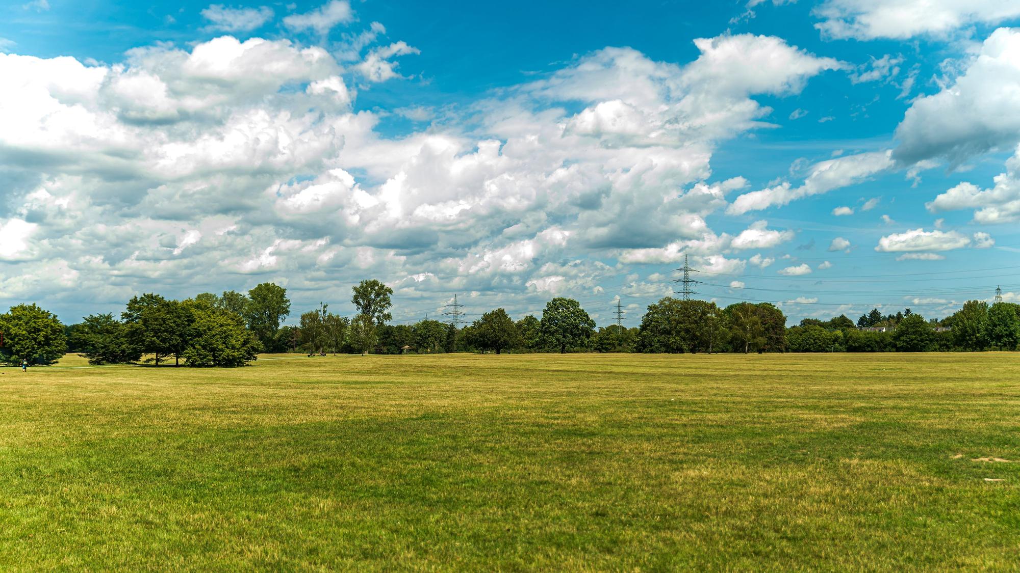 Weitläufige Landschaft im Sommer in der Merheimer Heide.