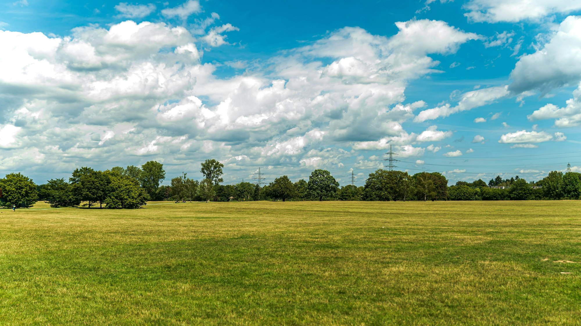Weitläufige Landschaft im Sommer in der Merheimer Heide.