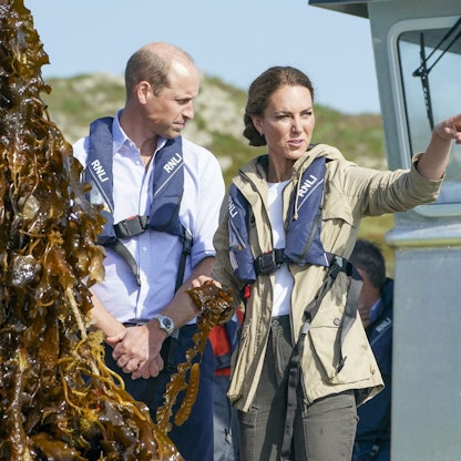 Prinz William und Prinzessin Catherine zu Besuch auf einer Algenfarm im walisischen St Davids