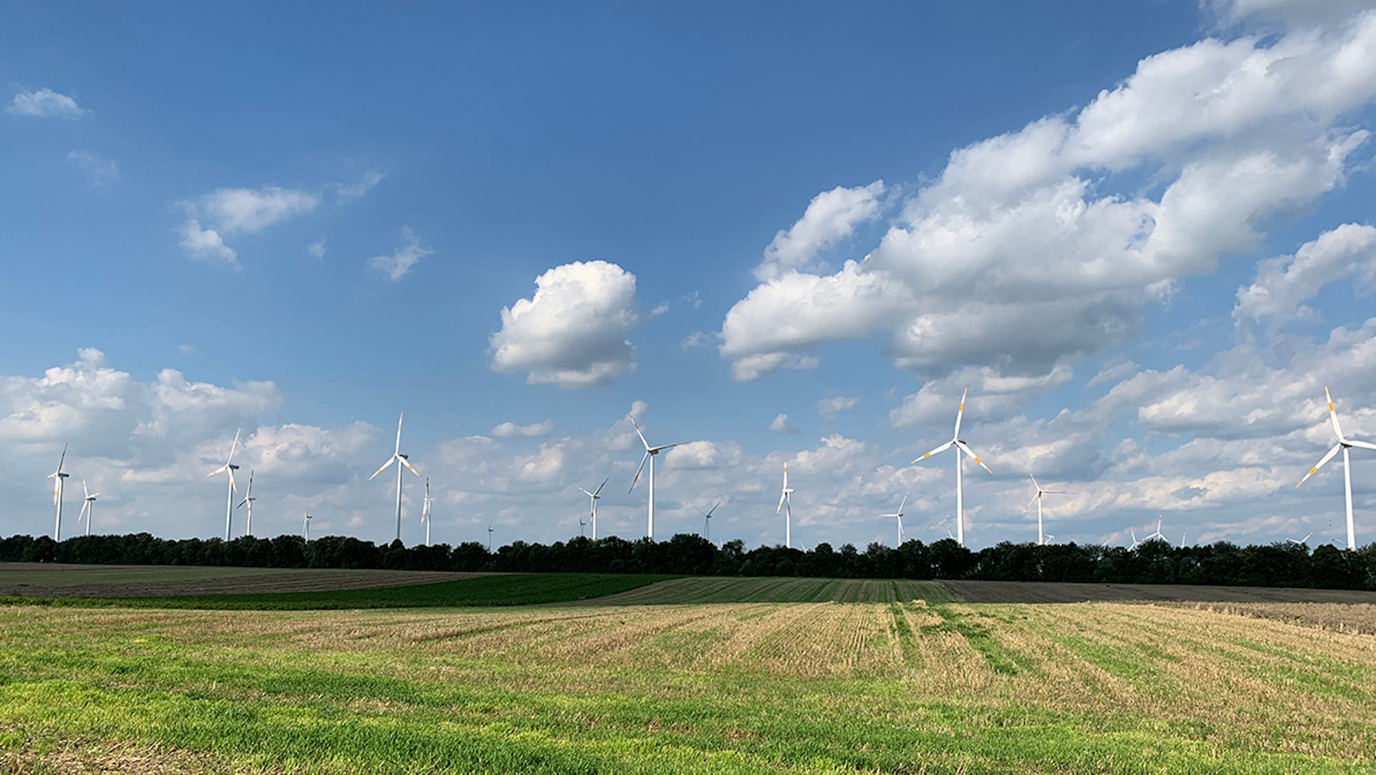 Das Foto zeigt den Windpark in Bedburg.