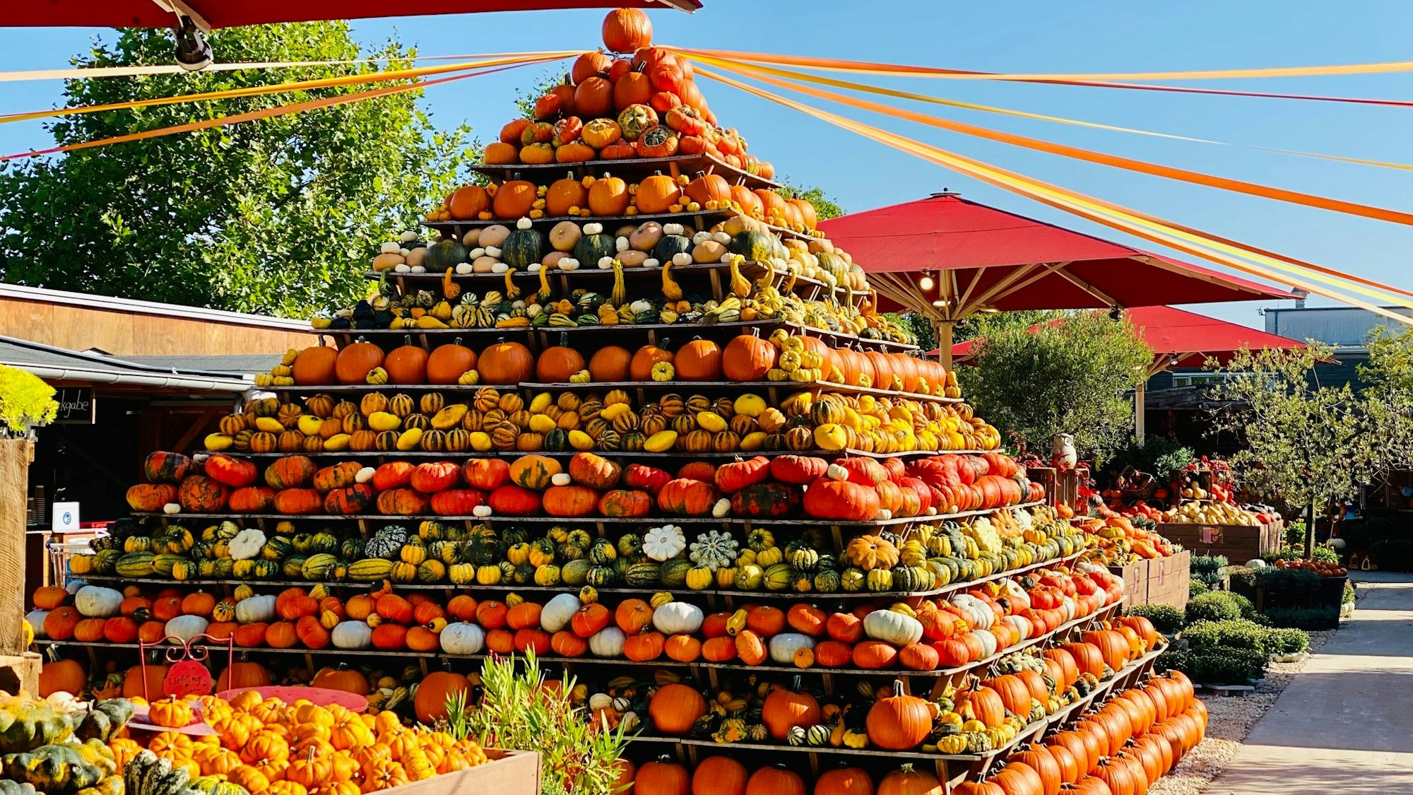 Kürbispyramide auf dem Gertrudenhof