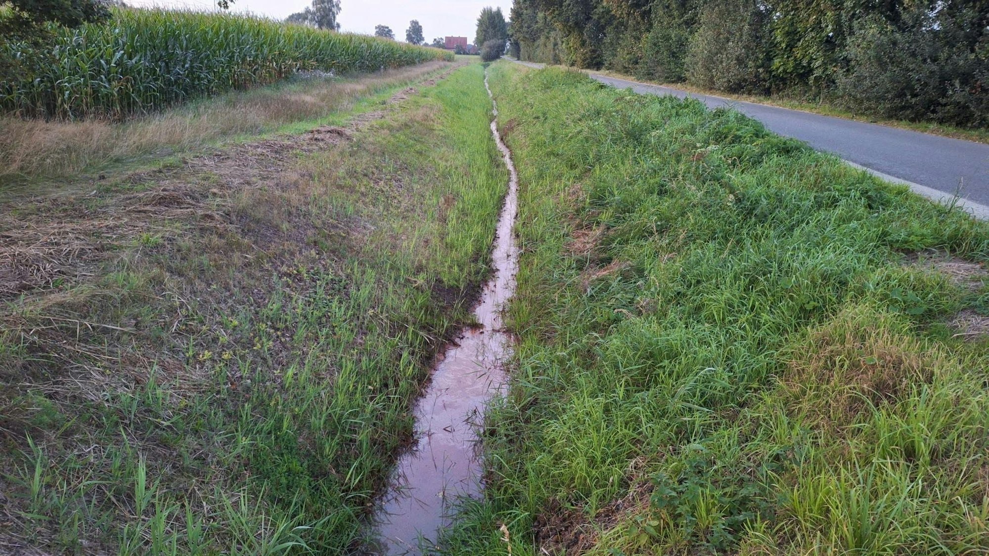 11.09.2023, Niedersachsen, Barenburg: Der Graben neben einer Straße im Landkreis Diepholz wo bereits am 10.09.2023 die Leiche einer 17-Jährigen gefunden worden war. Die junge Frau sei nach dem Ergebnis der Obduktion einen gewaltsamen Tod gestorben, sagte ein Polizeisprecher am Montagabend. Die genauen Todesumstände seien Gegenstand der unter Hochdruck geführten Ermittlungen. Die Polizei rief mögliche Zeugen, darunter Anwohner, Spaziergänger und Landwirte, dazu auf, sich zu melden. (zu dpa "Polizei ermittelt nach gewaltsamen Tod von 17-Jähriger") Foto: Nord-West-Media TV/dpa +++ dpa-Bildfunk +++