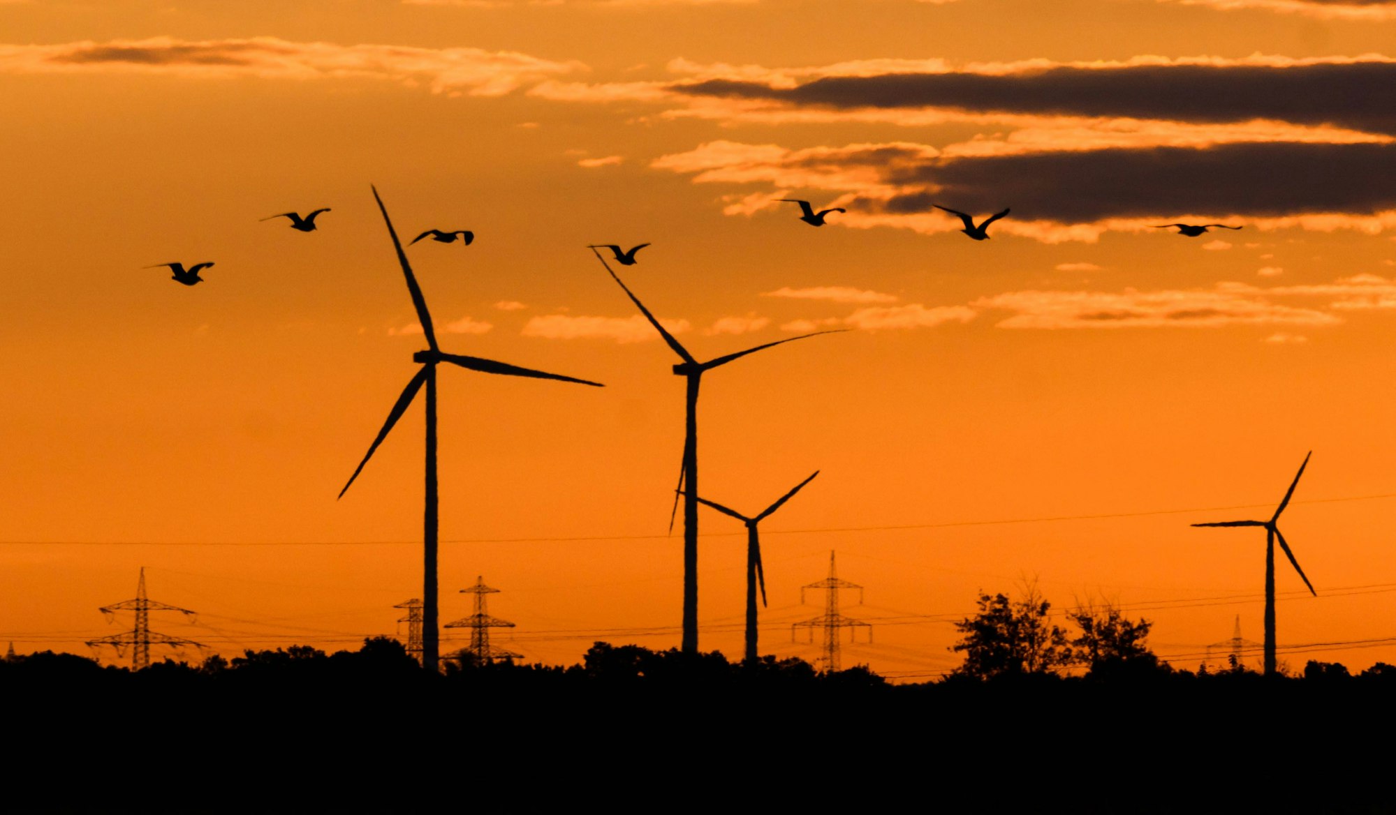 Nicht für jeden ein schöner Anblick: Viele Anwohner lehnen Windräder außerhalb der Vorranggebiete ab.