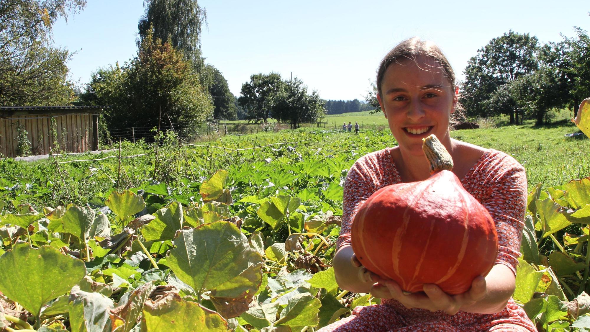 Pauline Gödecke von der solidarischen Landwirtschaft in Much hält auf einem Feld einen orangefarbenen Kürbis in die Kamera