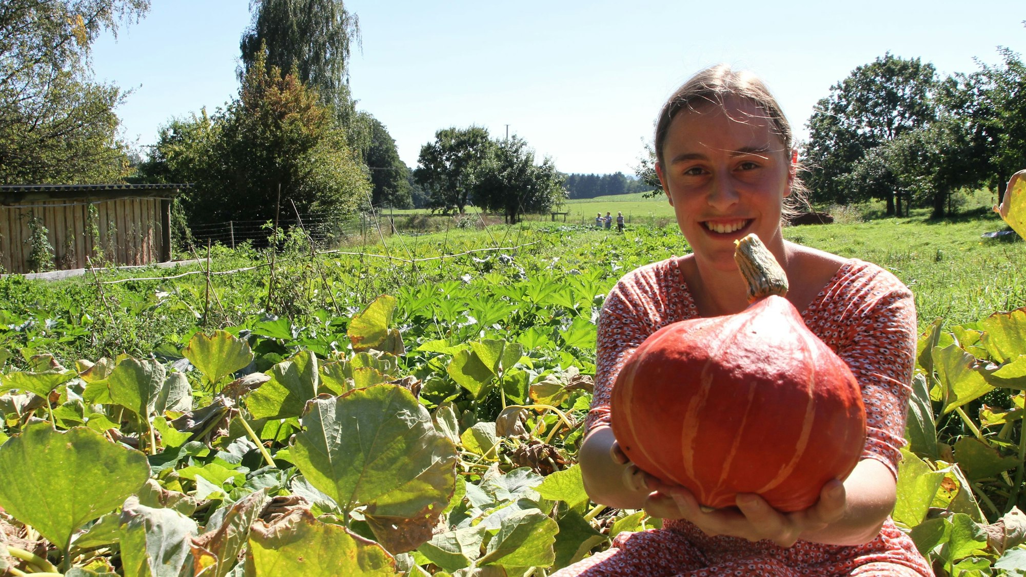 Pauline Gödecke von der solidarischen Landwirtschaft in Much hält auf einem Feld einen orangefarbenen Kürbis in die Kamera