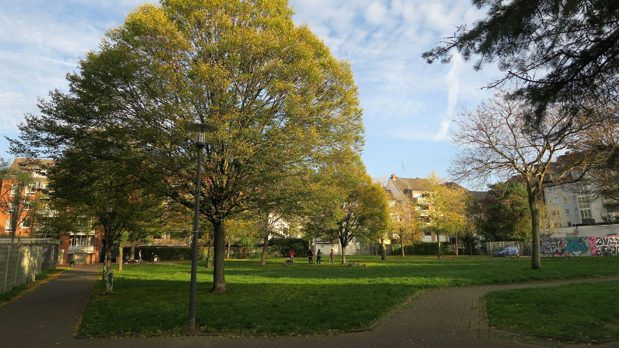 Grünflächen in Kalk: Der ruhige Teil des Breuerparks.