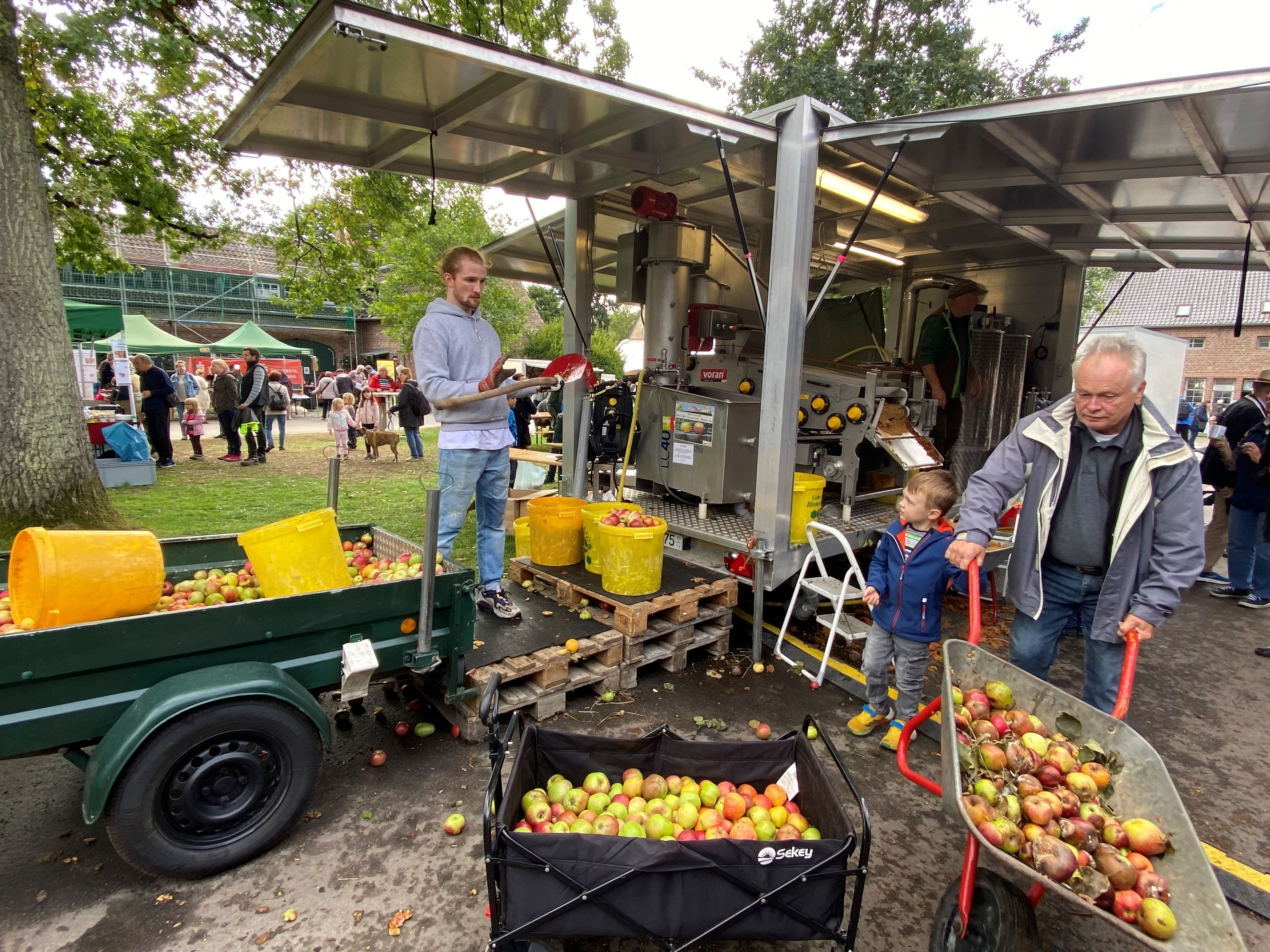 Beim Apfeltag auf Gut Leidenhausen verwandelt die mobile Obstpresse Äpfel, die Besucher schubkarrenweise mitgebracht hatten, in köstlichen Saft.