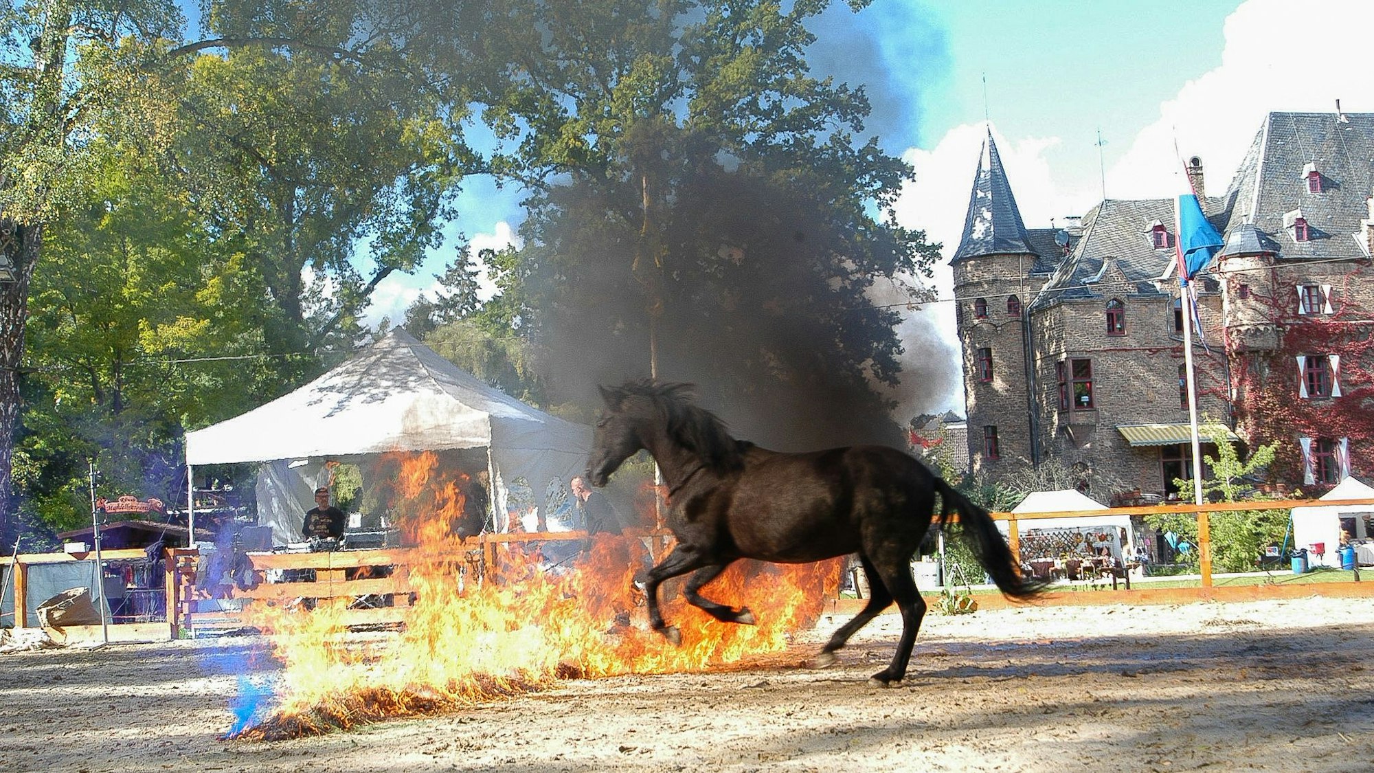Ein Pferd springt auf einem Sandplatz über eine Feuerlinie