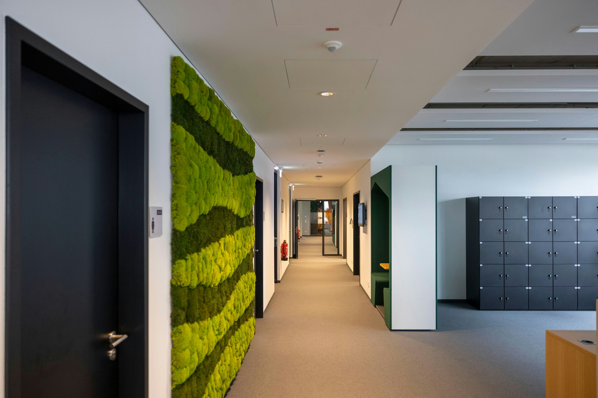 Von Brühl nach Köln: Renault Deutschland ist wieder da.