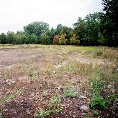 Der Sportplatz in Roitzheim, der 2021 von der Flut zerstört wurde, ist mittlerweile eine Brachfläche voller Unkraut.