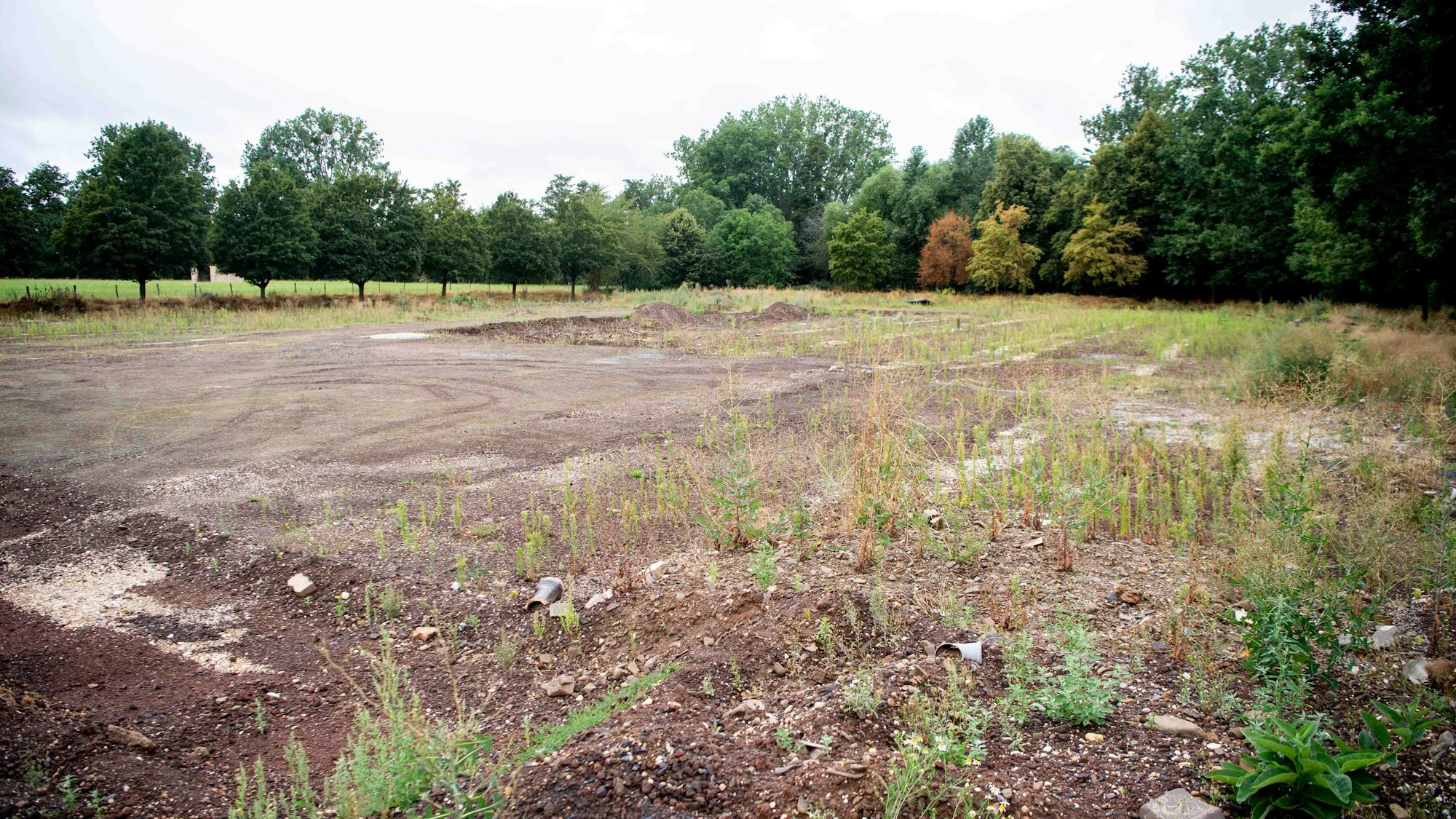 Der Sportplatz in Roitzheim, der 2021 von der Flut zerstört wurde, ist mittlerweile eine Brachfläche voller Unkraut.