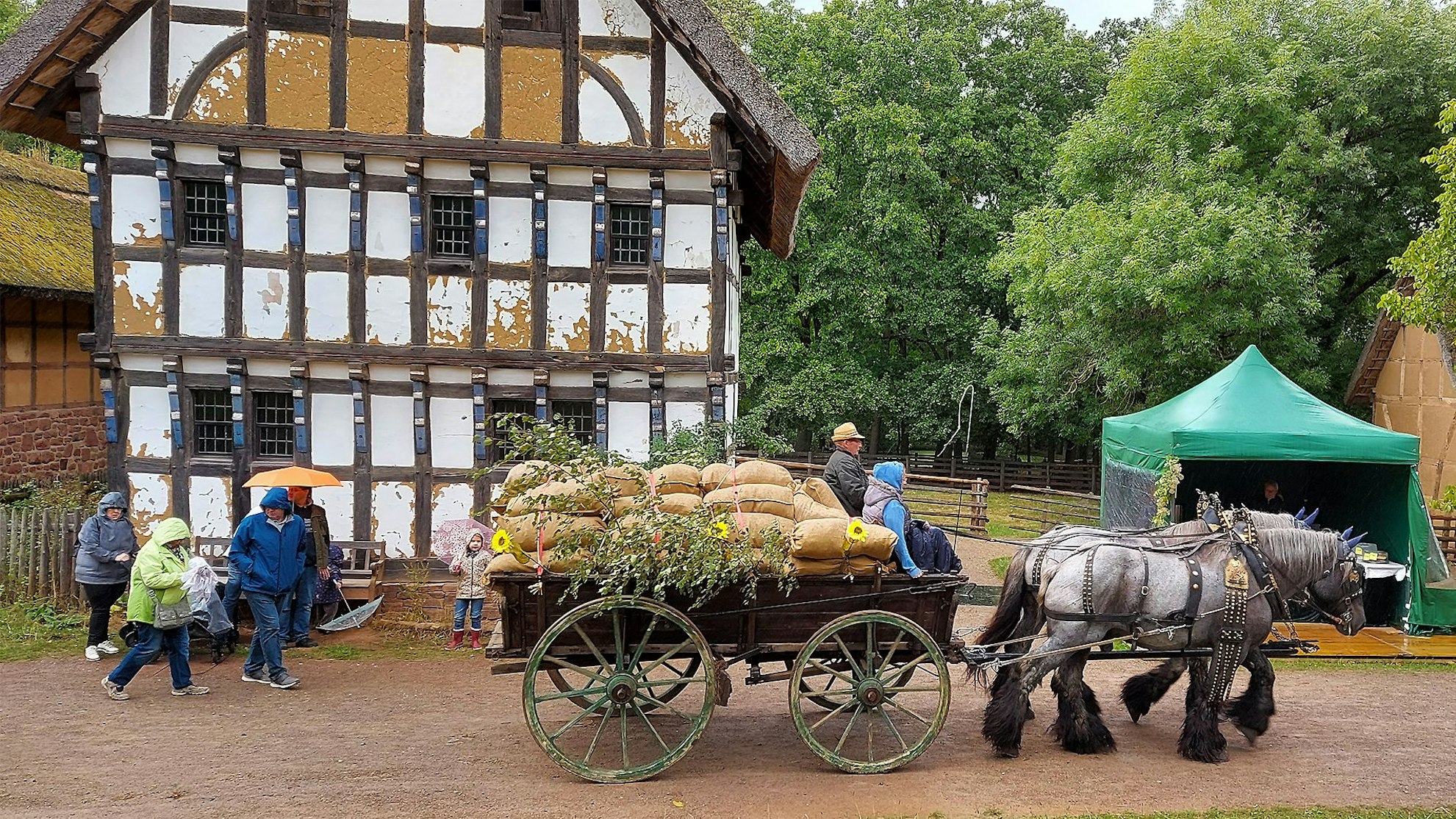 Ein Gespann aus zwei grauen Kaltblutpferden zieht einen Wagen beladen mit Getreidesäcken über einen Weg. Im Hintergrund ist ein Fachwerkhaus zu sehen.