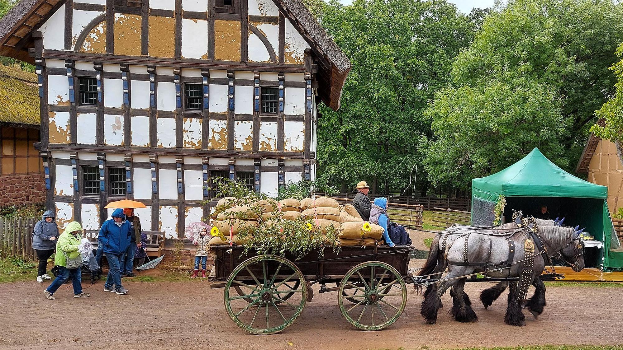 Ein Gespann aus zwei grauen Kaltblutpferden zieht einen Wagen beladen mit Getreidesäcken über einen Weg. Im Hintergrund ist ein Fachwerkhaus zu sehen.