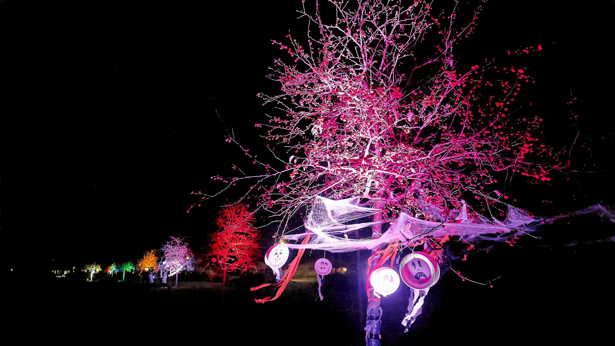 Bäume in einer langen Reihe sind in Rot, Lila, Orange, Grün und Gelb angestrahlt und nach Halloween-Manier gruselig geschmückt, mit Geisterlaternen und Kürbisgesichtern.