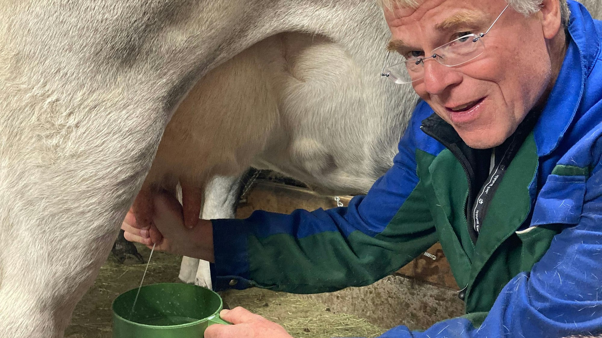 Frank Eggeling melkt eine Kuh. Die Milch spritzt in einen grünen Krug.