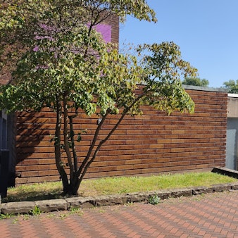 Das Museum für Ostasiatische Kunst am Freitagnachmittag.