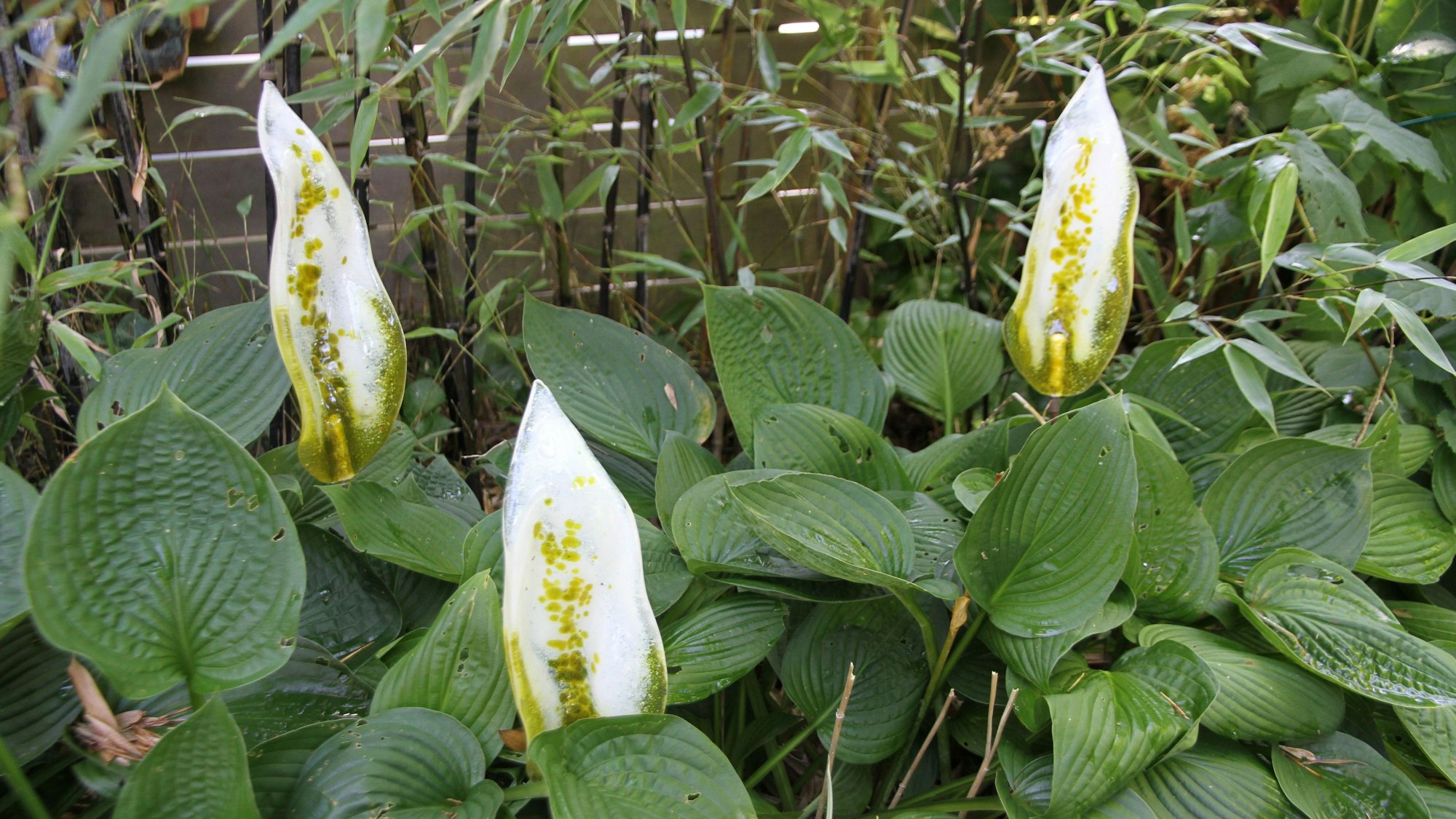 Weiße Blüten aus Glas in einem Pflanzenbeet