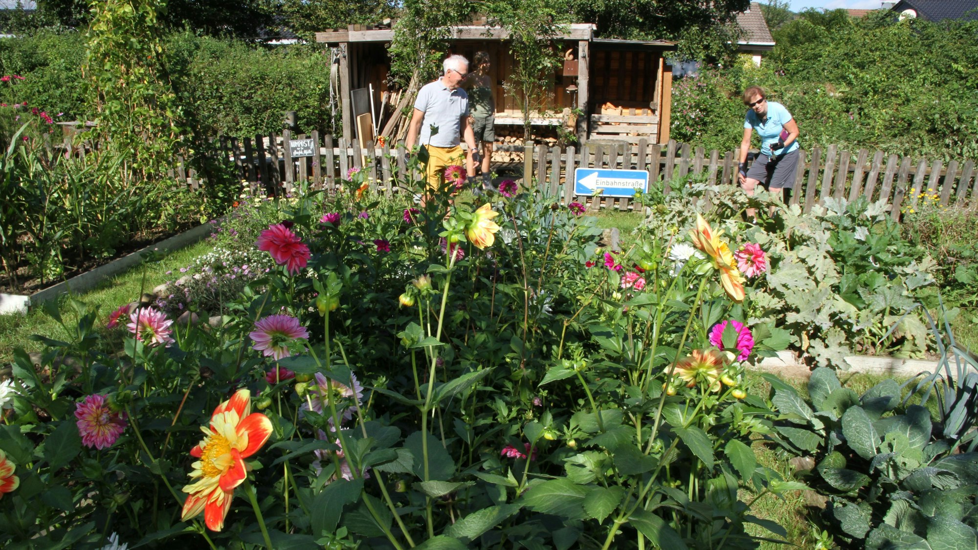 Ein Mann und eine Frau arbeiten in einem Bauerngarten