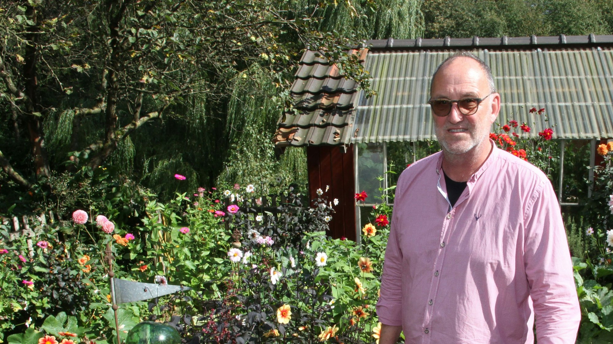 Ein Mann in einem rosafarbenen Hemd steht in einem Blumengarten