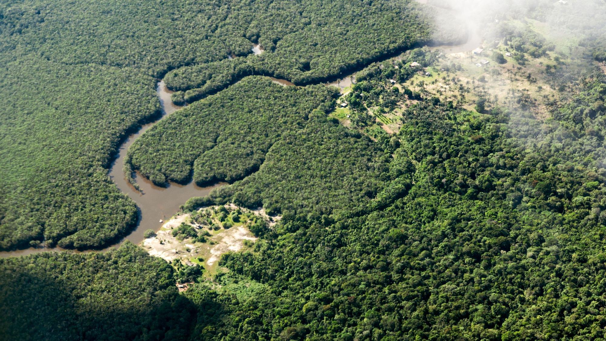 ARCHIV - 02.01.2023, Brasilien, Manaus: Ein kleiner Fluss schlängelt sich durch den Amazonas-Regenwald. Jeden zweiten Tag bezahlt ein Umweltschützer seinen Einsatz für saubere Flüsse und intakte Wälder mit dem Leben: Im vergangenen Jahr wurden weltweit 177 Naturschützer getötet, wie die Nichtregierungsorganisation Global Witness am Mittwoch bei der Vorstellung ihres Jahresberichts mitteilte. (Zu dpa "Gefährlicher Kampf für Umwelt und Klima: 177 Naturschützer getötet") Foto: Jens Büttner/dpa +++ dpa-Bildfunk +++
