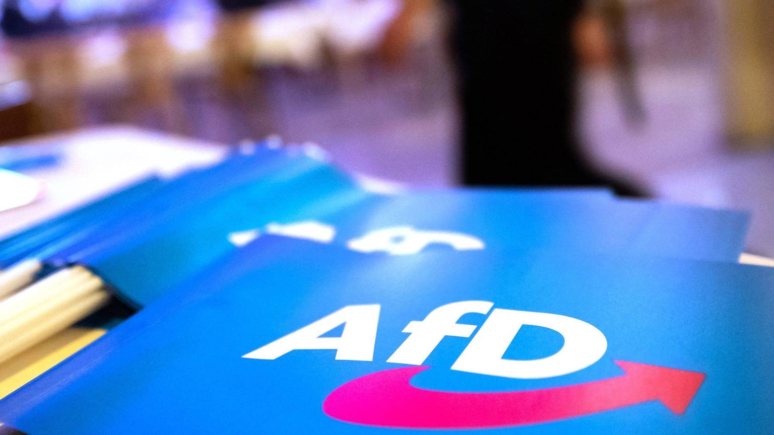 Fähnchen mit dem Logo der AfD