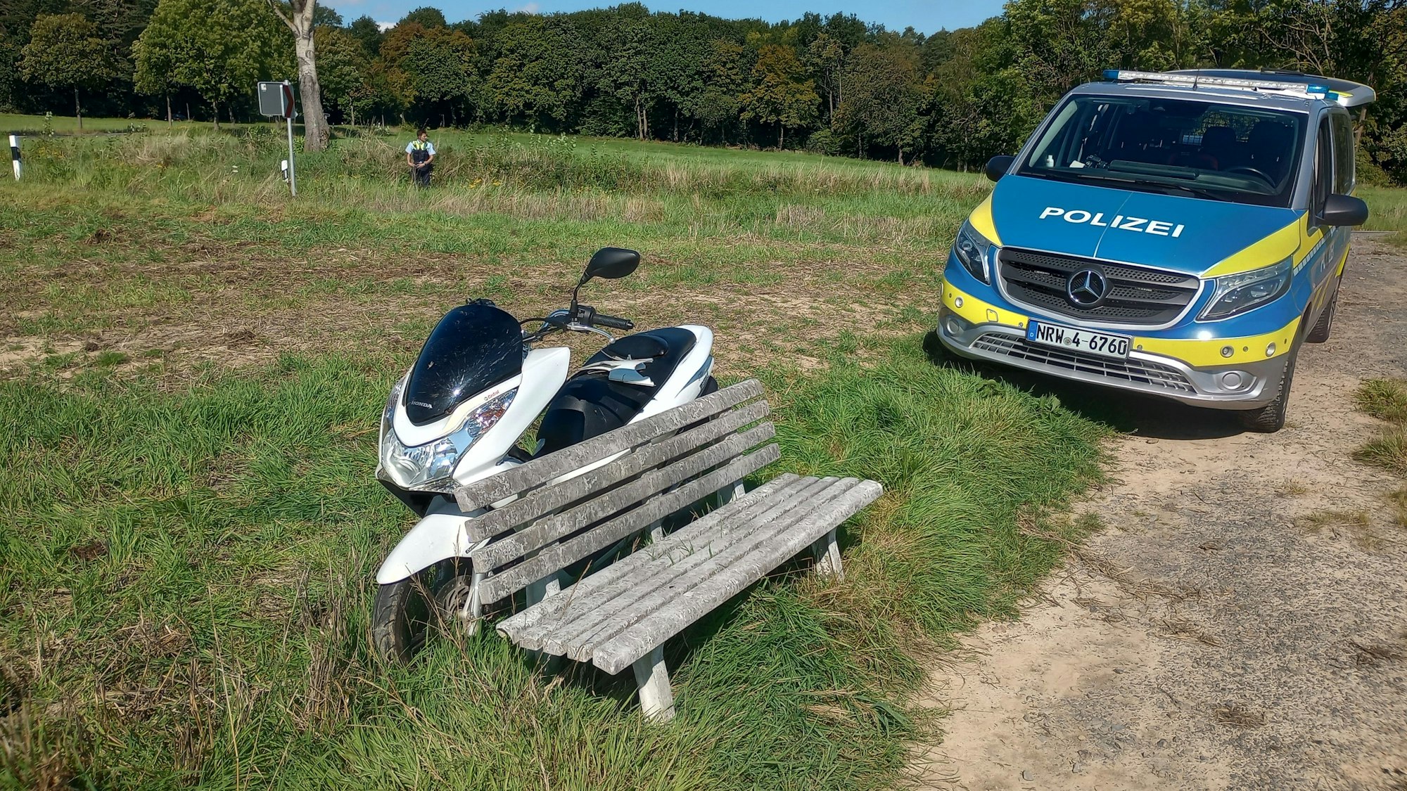 Ein beschädigtes Motorrad steht auf einer Wiese.