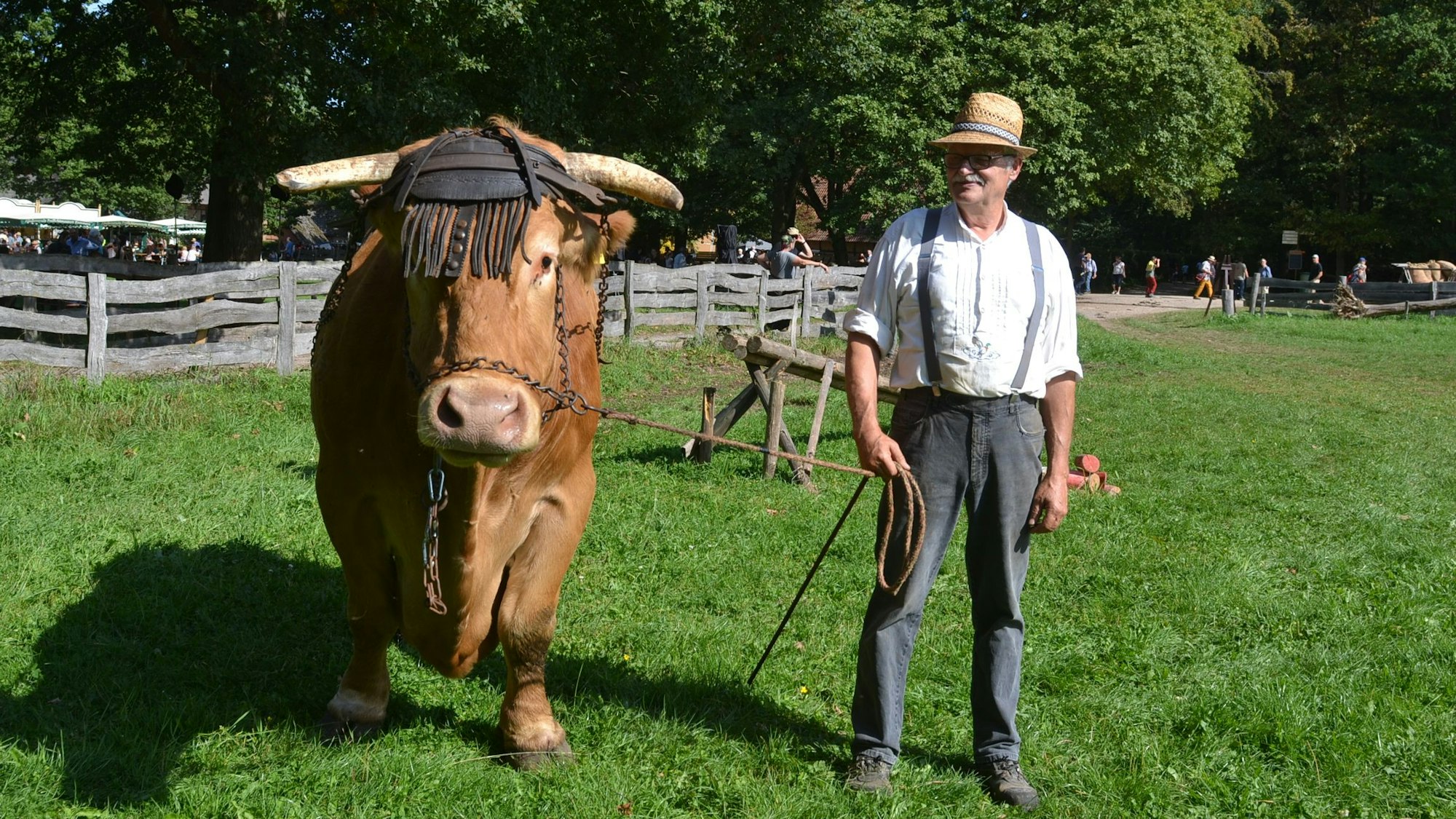 Das Foto zeigt Landwirt Matthias Höwer, der einen Bullen an der Leine führt.
