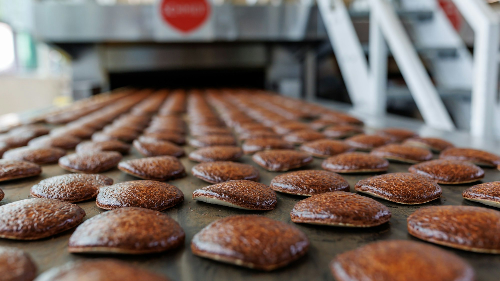 Nürnberg: Frisch gebackene Lebkuchen laufen auf einem Band aus einem Ofen in der Produktion des Lebkuchenherstellers Schmidt.