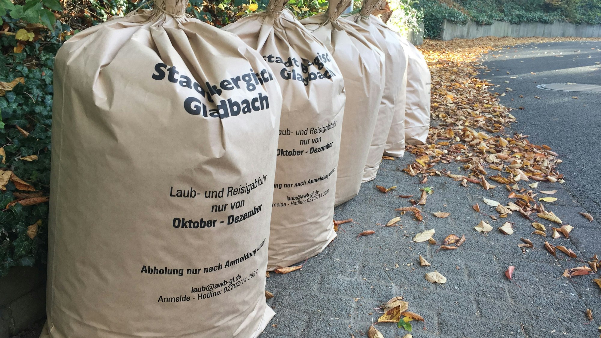 Mehrere große Papiersäcke gefüllt mit Laub stehen nebeneinander am Straßenrand.