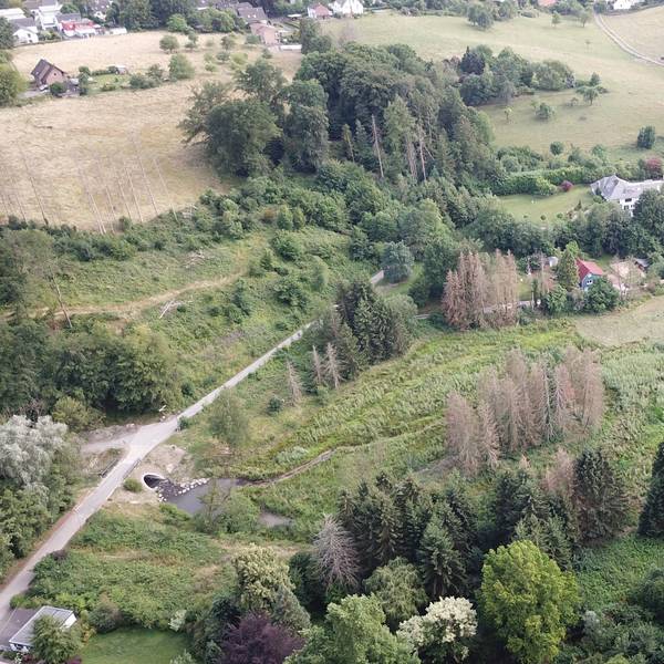 Diepentalsperre von oben