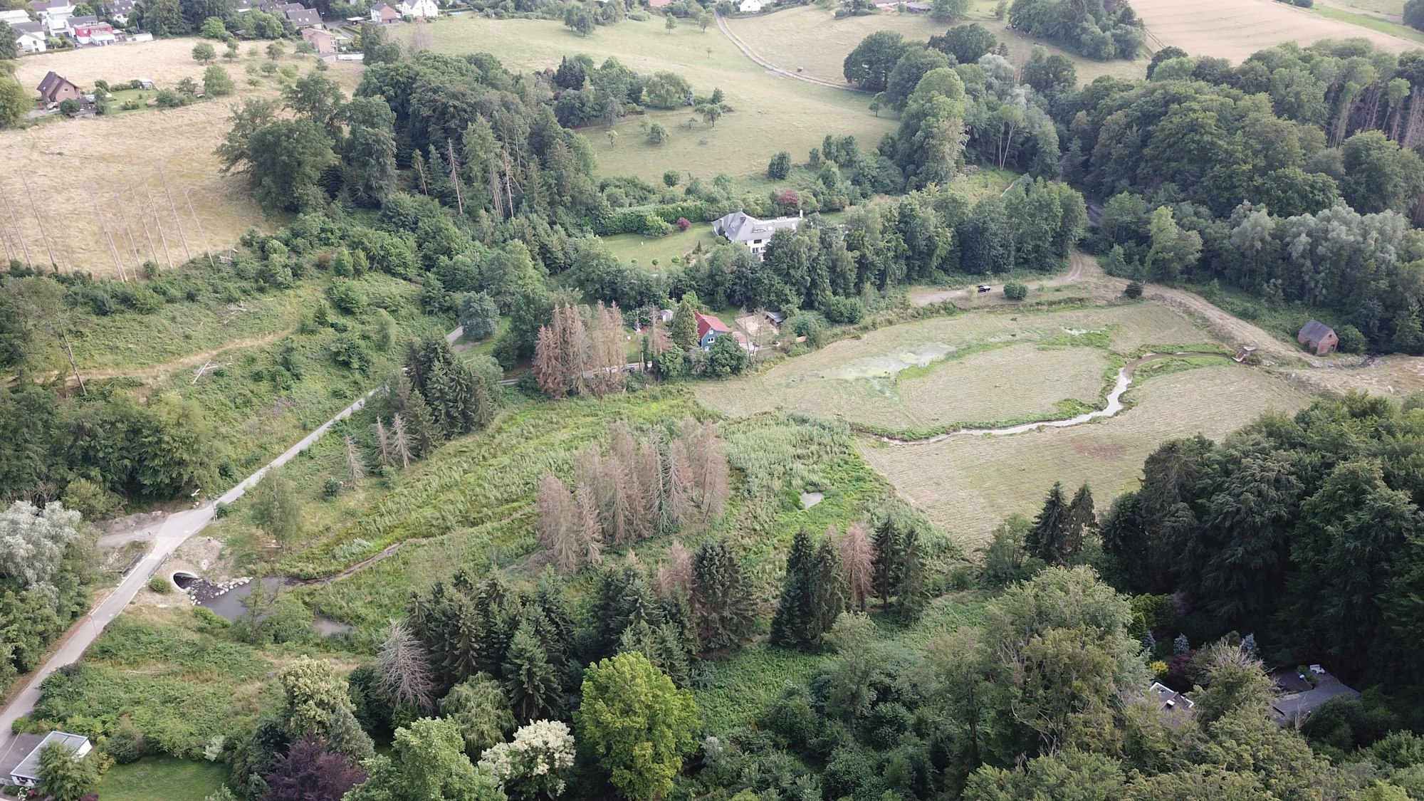 Diepentalsperre von oben