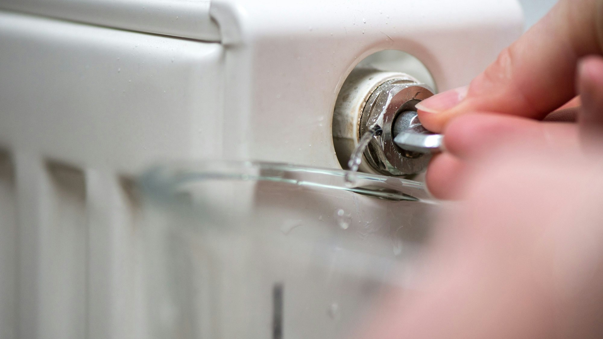 Eine Hand öffnet mit einem Vierkantschlüssel das Ventil an einem Heizkörper, Wasser fließt in ein Glas.