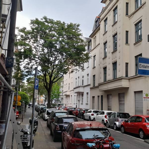 Schmale Einbahnstraße mit parkenden Autos auf beiden Straßenseiten und einem großen Baum auf der linken Straßenseite
