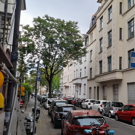 Schmale Einbahnstraße mit parkenden Autos auf beiden Straßenseiten und einem großen Baum auf der linken Straßenseite