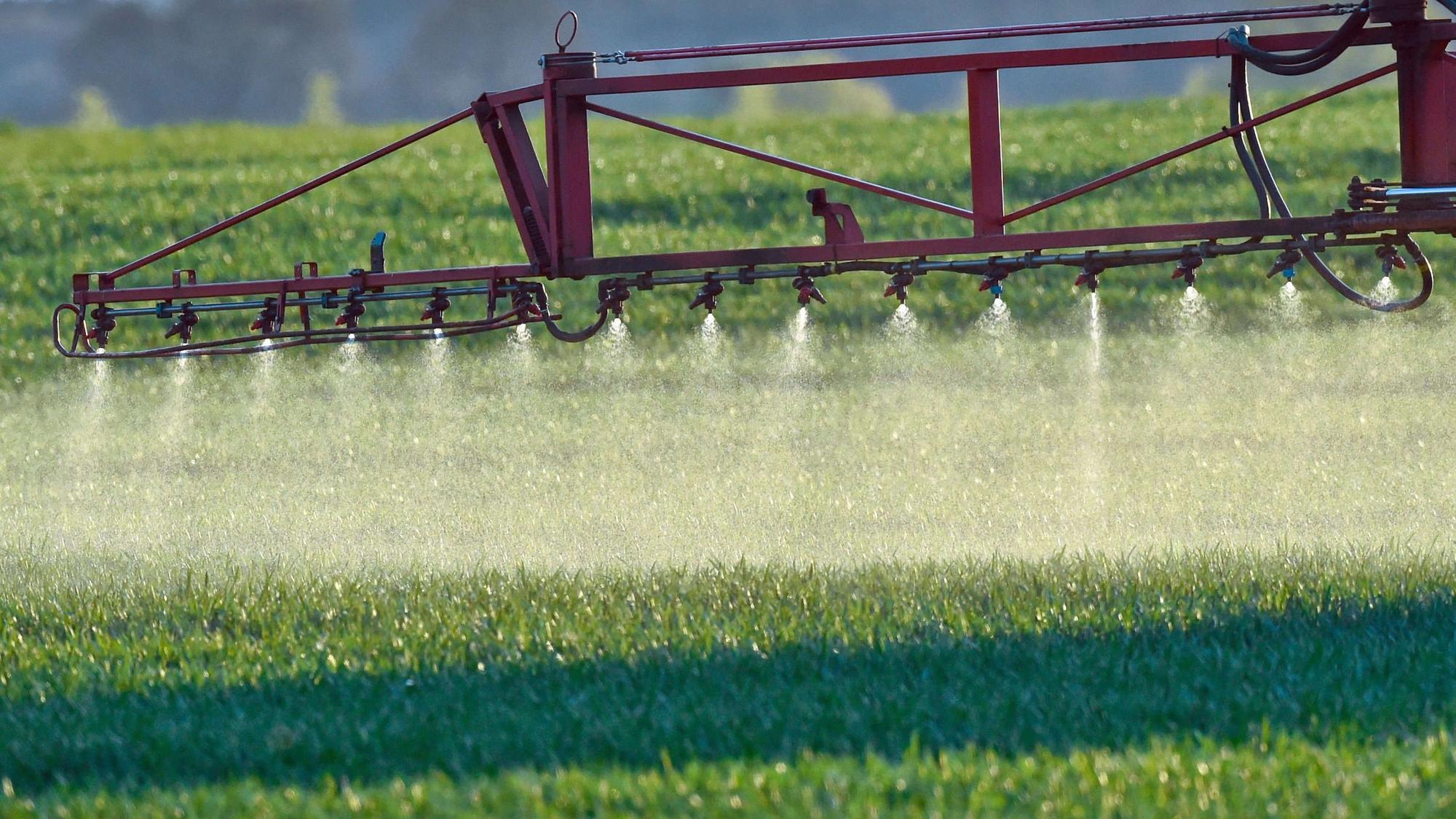 Ein Landwirt fährt mit einer Dünger- und Pestizidspritze über ein Feld mit jungem Getreide.