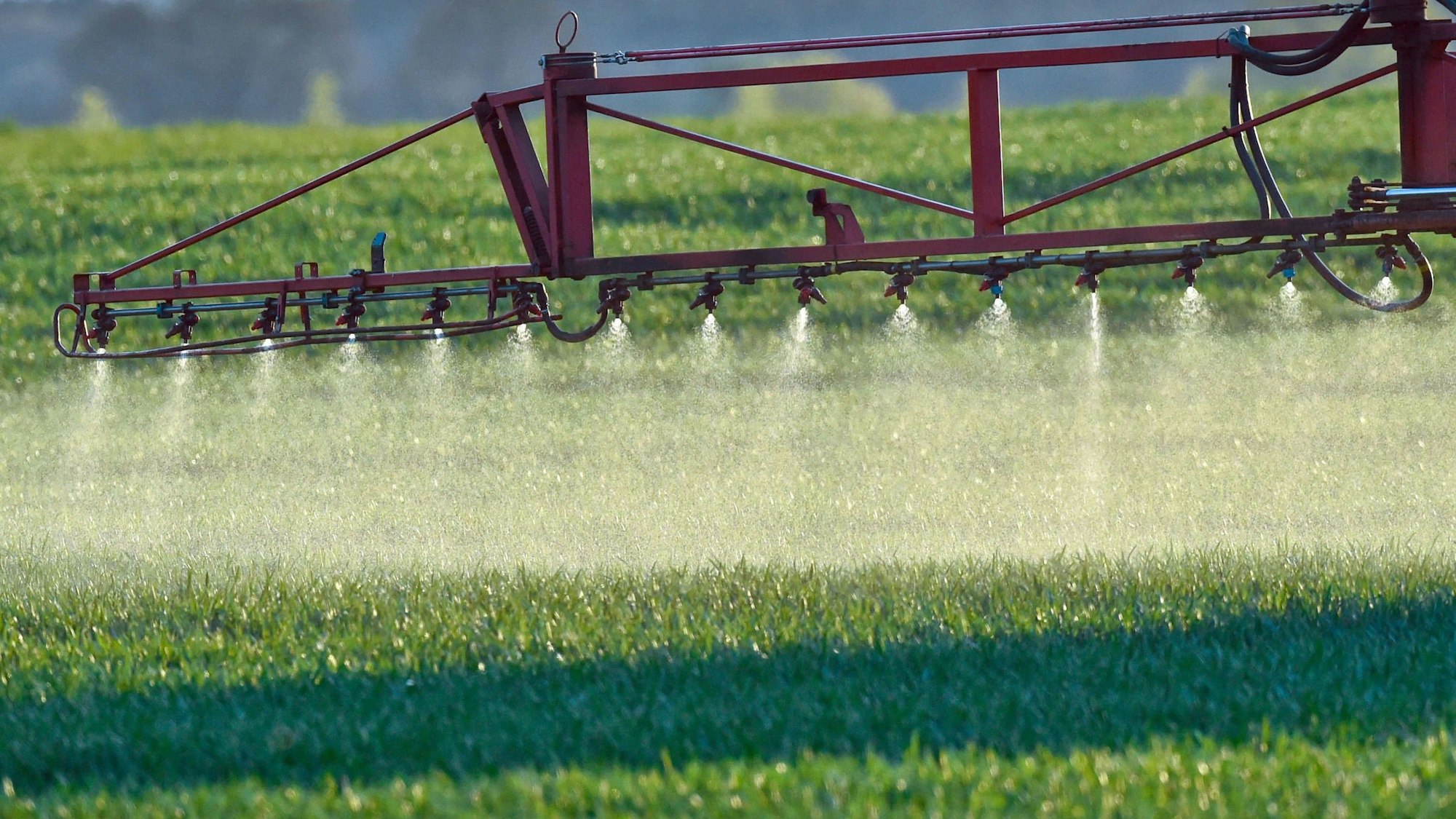 Ein Landwirt fährt mit einer Dünger- und Pestizidspritze über ein Feld mit jungem Getreide.