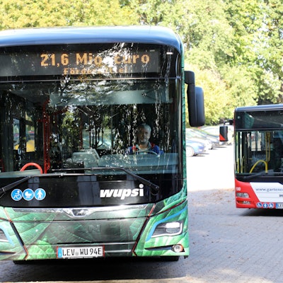 Zwei Busse der Wupsi: links ein elektrischer, rechts einer mit Diesel.