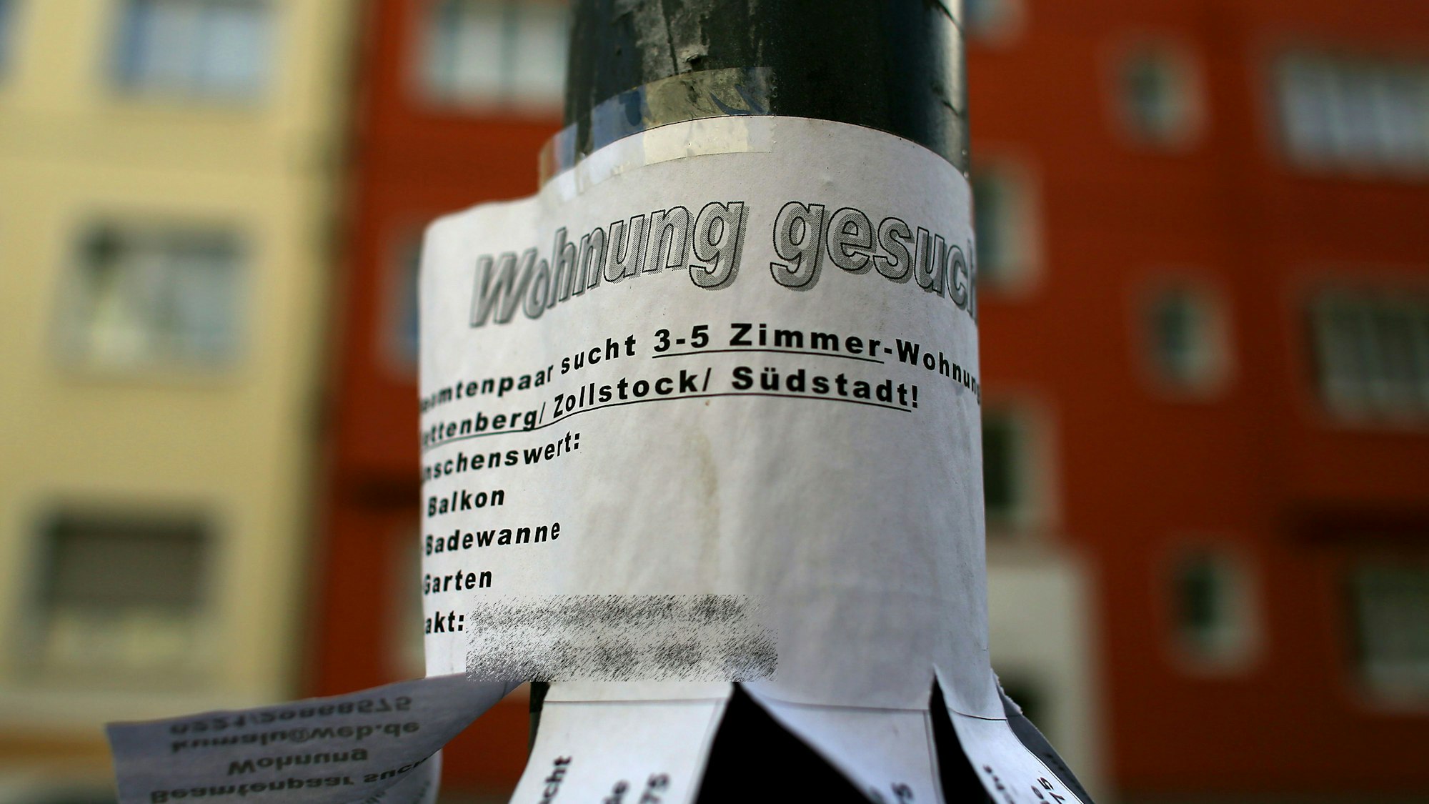 Ein Wohnungsgesuch hängt in Köln (Nordrhein-Westfalen) in der Nähe der Universität an einem Laternenpfahl. (Symbolbild)