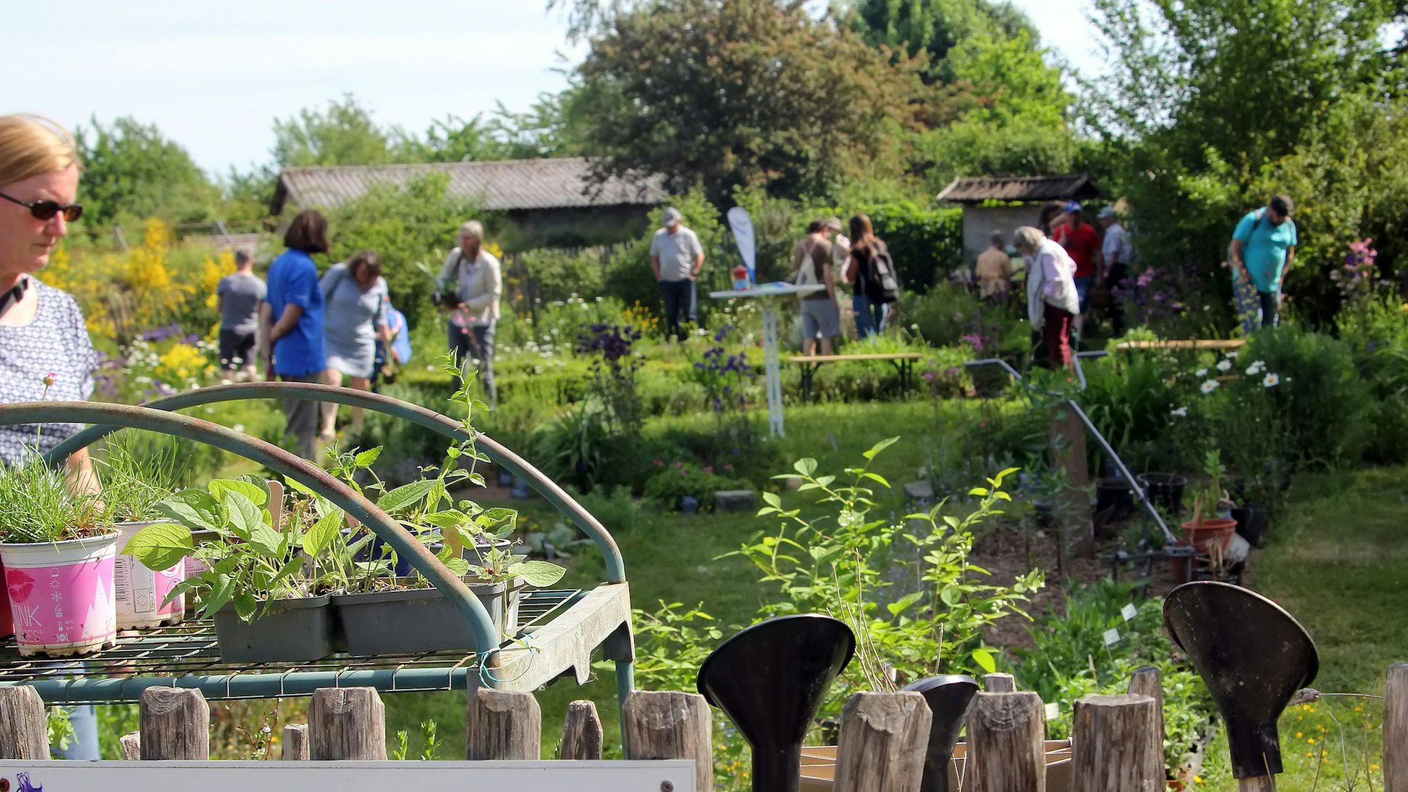 Das Foto zeigt Besucher auf dem Gelände des Umweltzentrums.