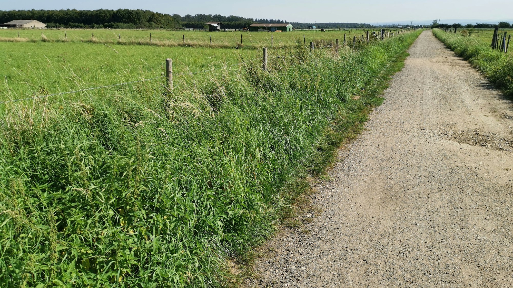 Buschhoven Akazienstraße ist ein möglicher Standort für eine Flüchtlingsunterkunft