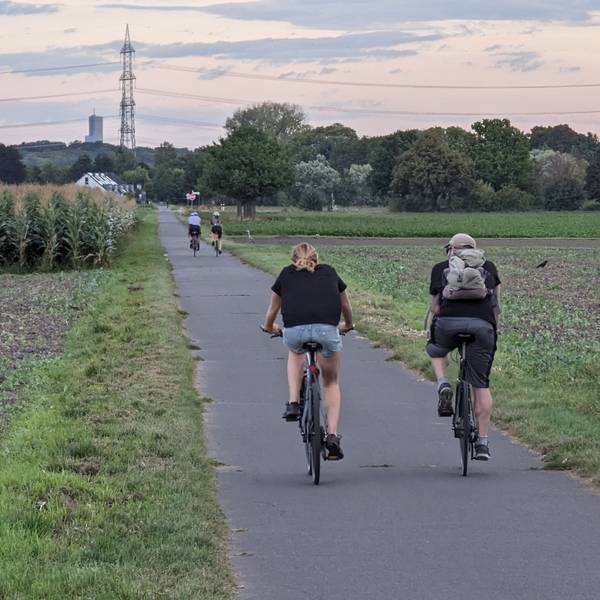 Fahrradfahrer fahren über einen asphaltieren Weg zwischen Feldern hindurch.
