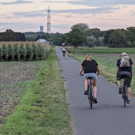 Fahrradfahrer fahren über einen asphaltieren Weg zwischen Feldern hindurch.