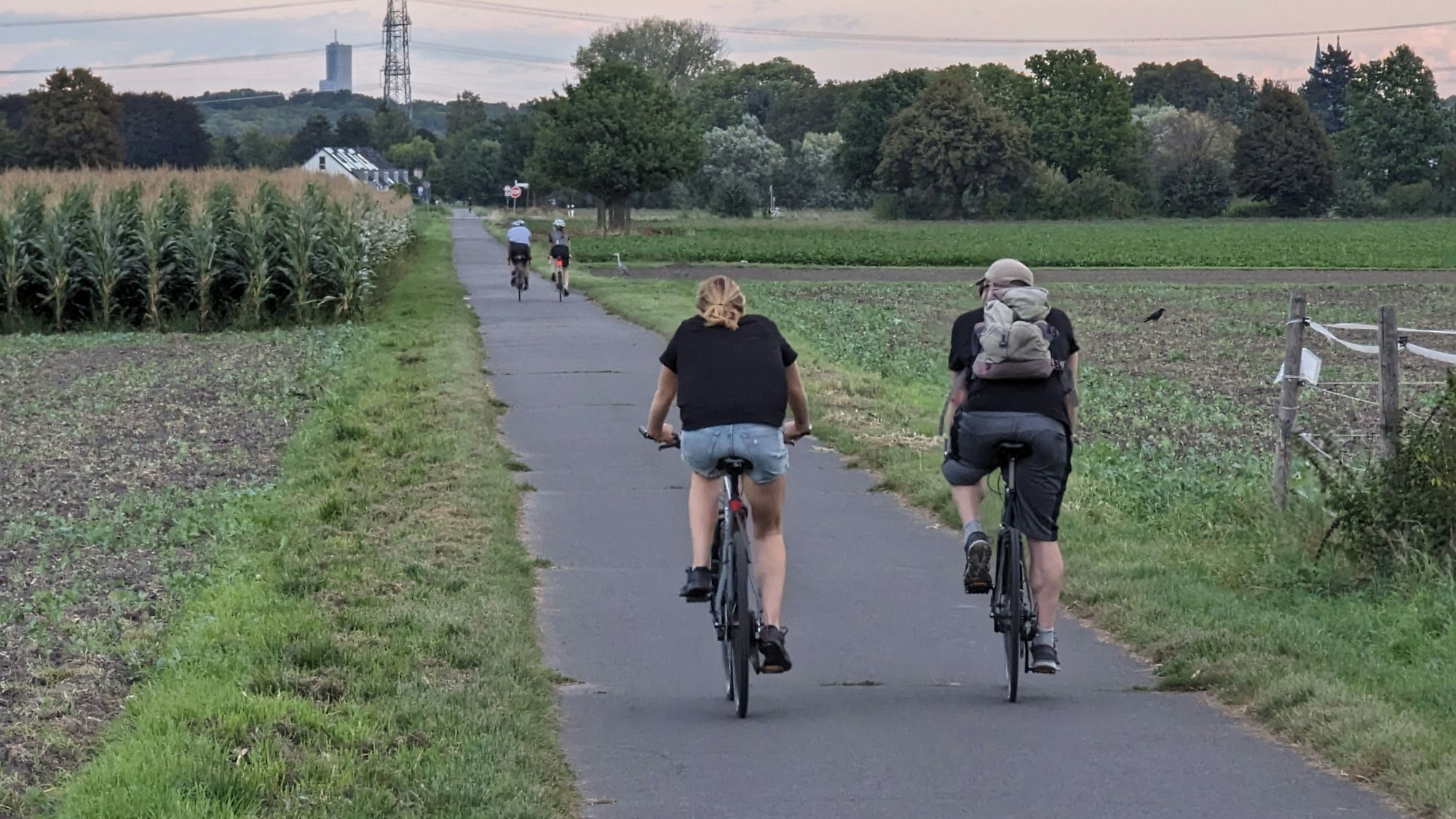 Fahrradfahrer fahren über einen asphaltieren Weg zwischen Feldern hindurch.