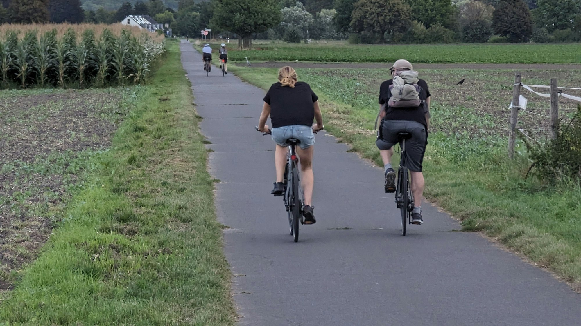 Die Bedingungen für Radfahrende im Rhein-Erft-Kreis haben sich verbessert.