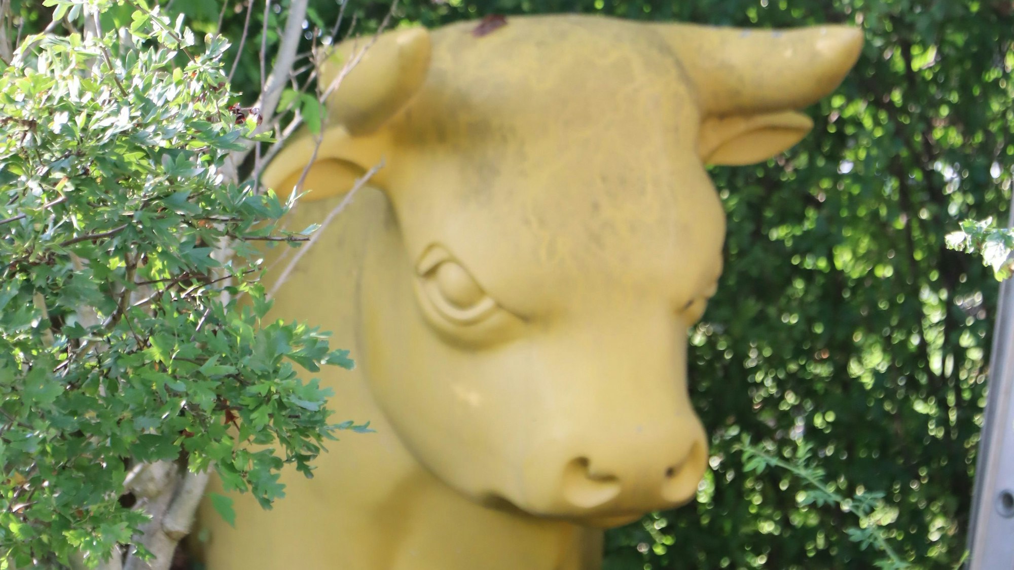 DAs Foto zeigt eine Stierskulptur in Moogs Garten.