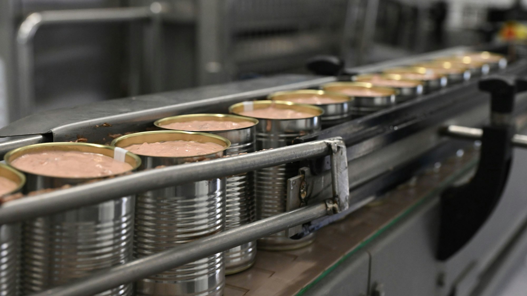 Zahlreiche offene Dosen sind auf einem Förderband. Sie sind noch unverschlossen und mit noch nicht gekochtem Tierfutter gefüllt.