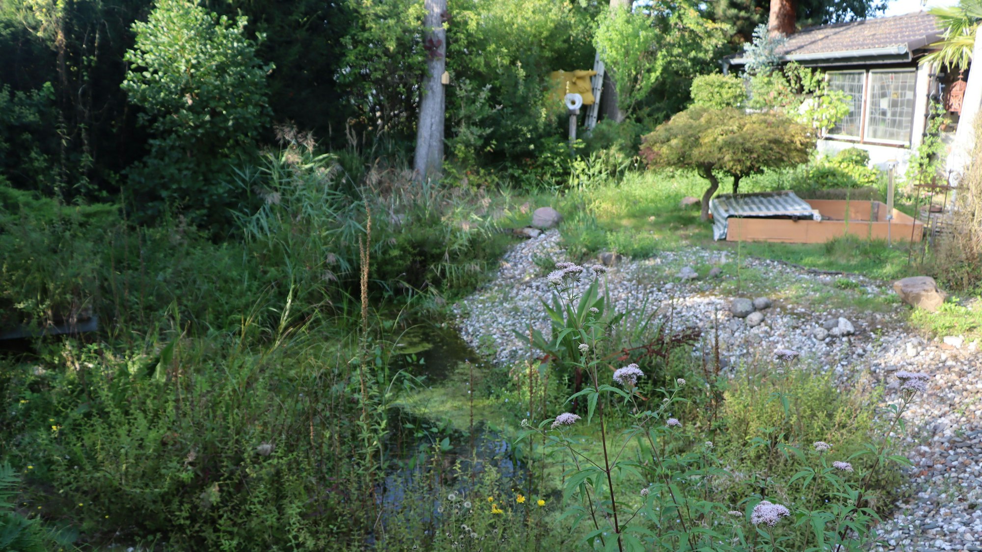 Das Bild zeigt den Garten mit Wegen, Wasserlauf und vielen Pflanzen.